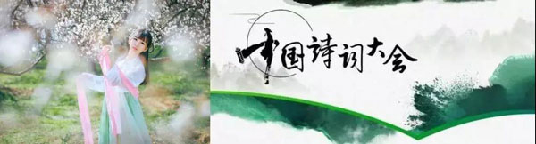 藍炬星集成灶